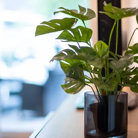 Apartment Modern And In *